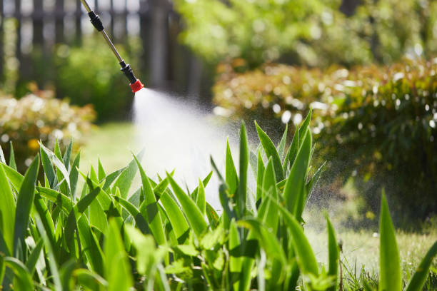 24/7 Emergency Cockroach Control experts in Foley, MN